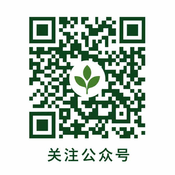 四虎